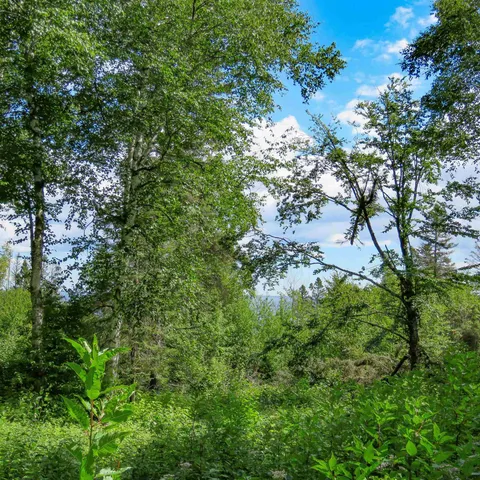 $129,000 | Xxx Hoaglund Drive, Tofte, MN 55615