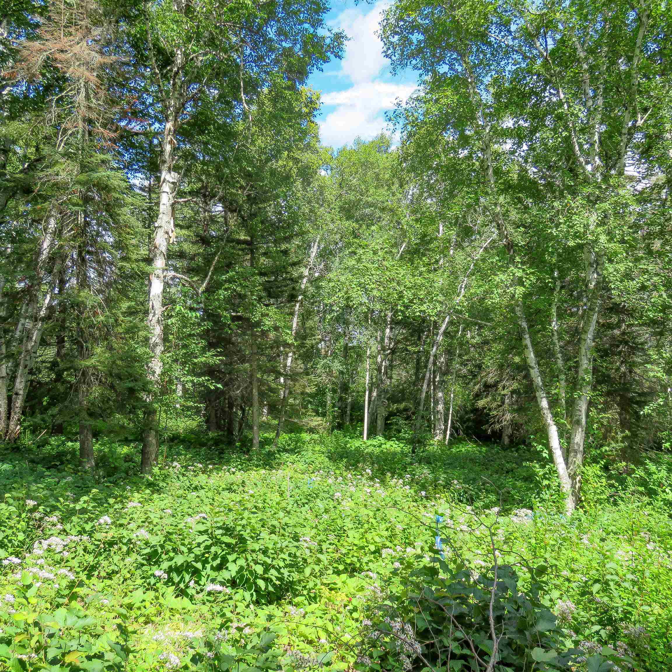 Xxx Hoaglund Drive Tofte, MN 55615 - Photo 29 of 58