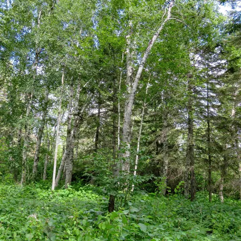 $129,000 | Xxx Hoaglund Drive, Tofte, MN 55615