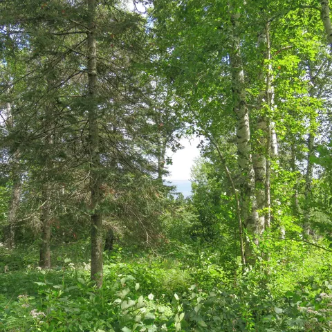 $129,000 | Xxx Hoaglund Drive, Tofte, MN 55615