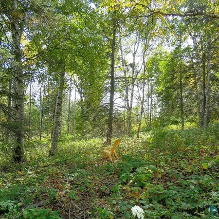 $119,000 | Xxx Hoaglund Drive, Tofte, MN 55615