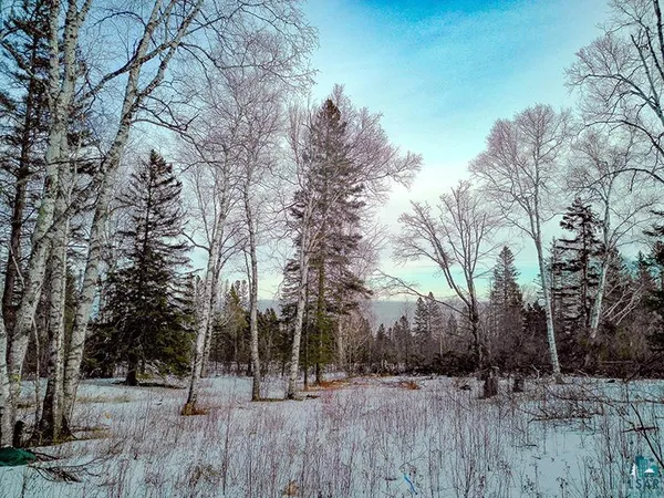 $119,000 | Xxx Hoaglund Drive, Tofte, MN 55615