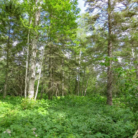 $129,000 | Xxx Hoaglund Drive, Tofte, MN 55615