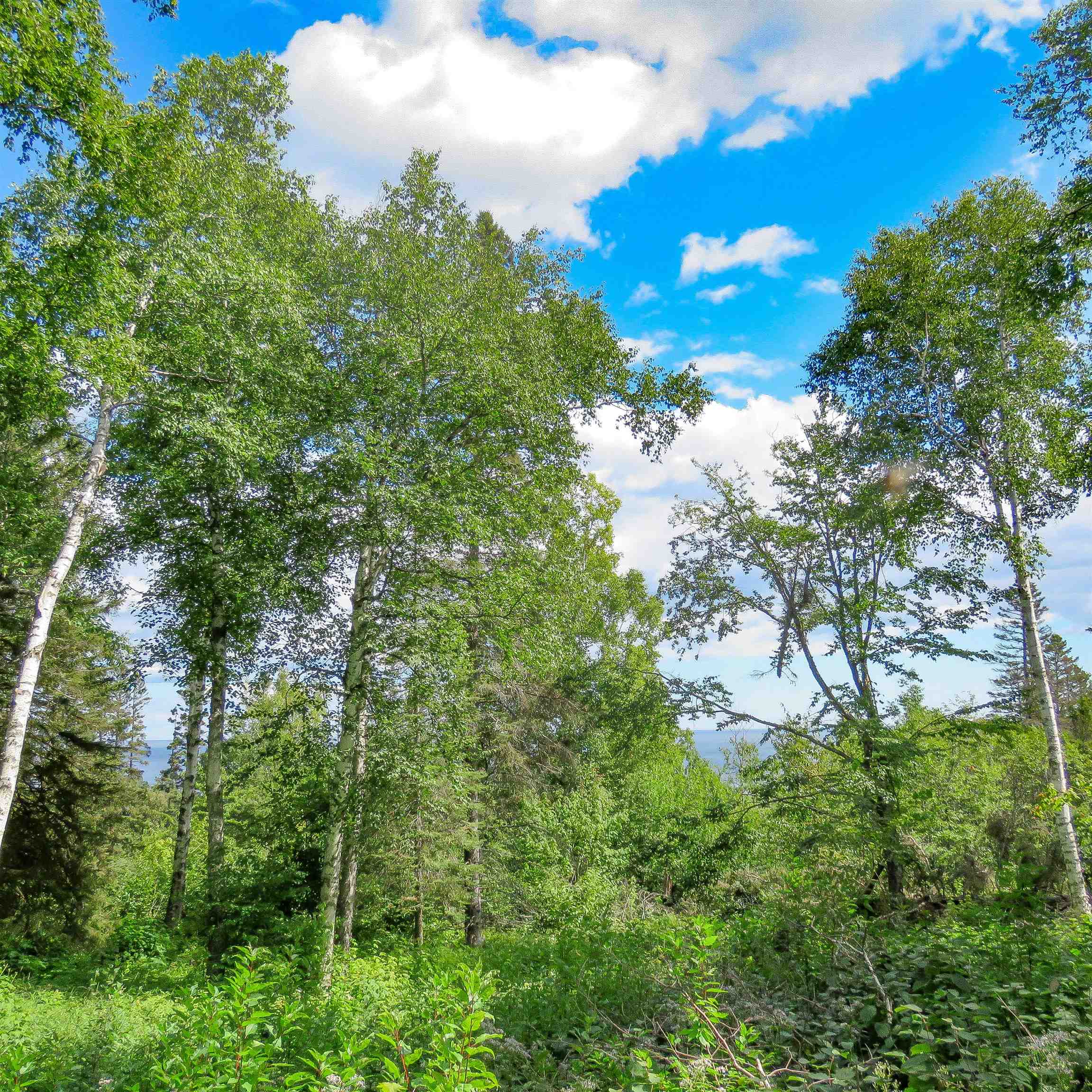 Xxx Hoaglund Drive Tofte, MN 55615 - Photo 32 of 58