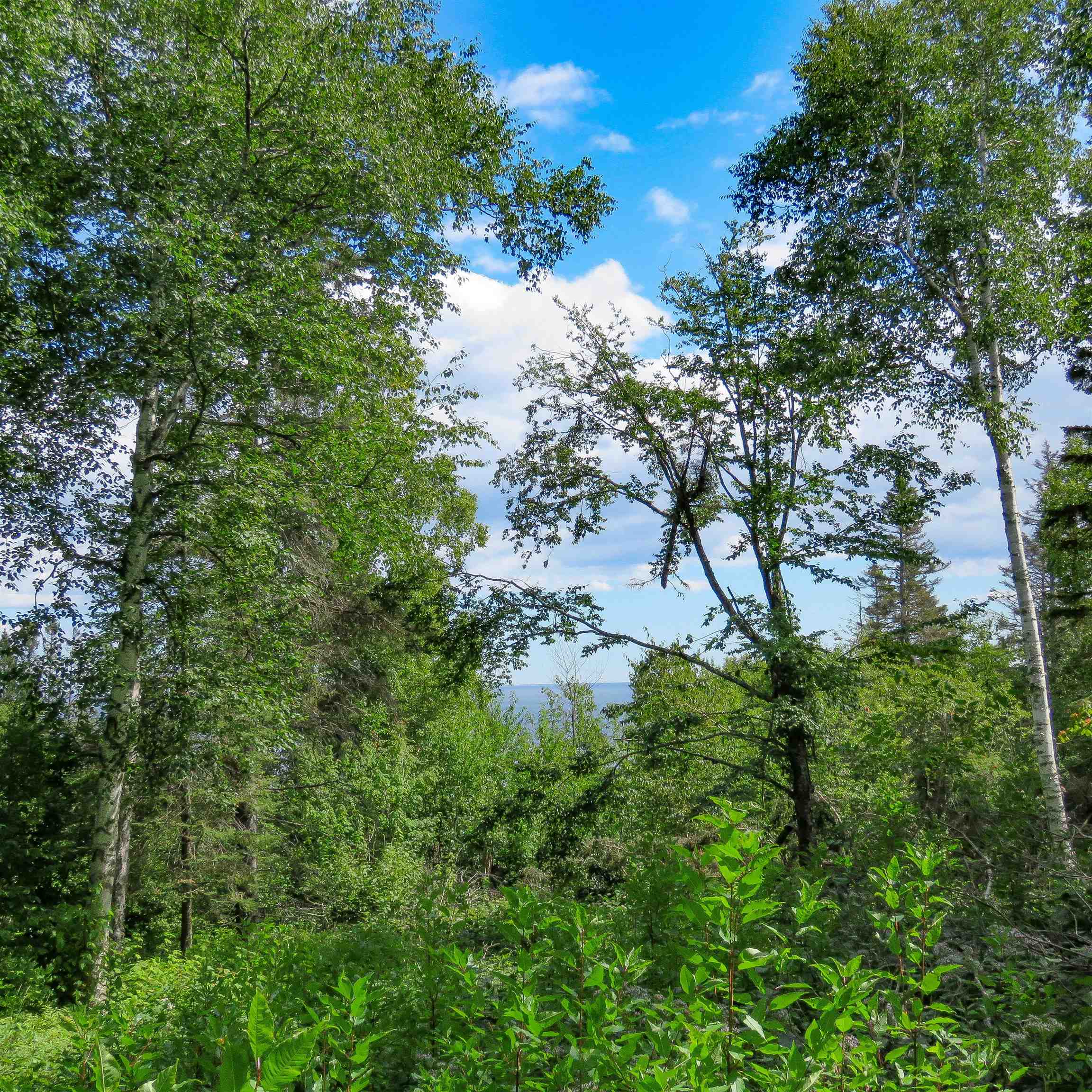 Xxx Hoaglund Drive Tofte, MN 55615 - Photo 33 of 58