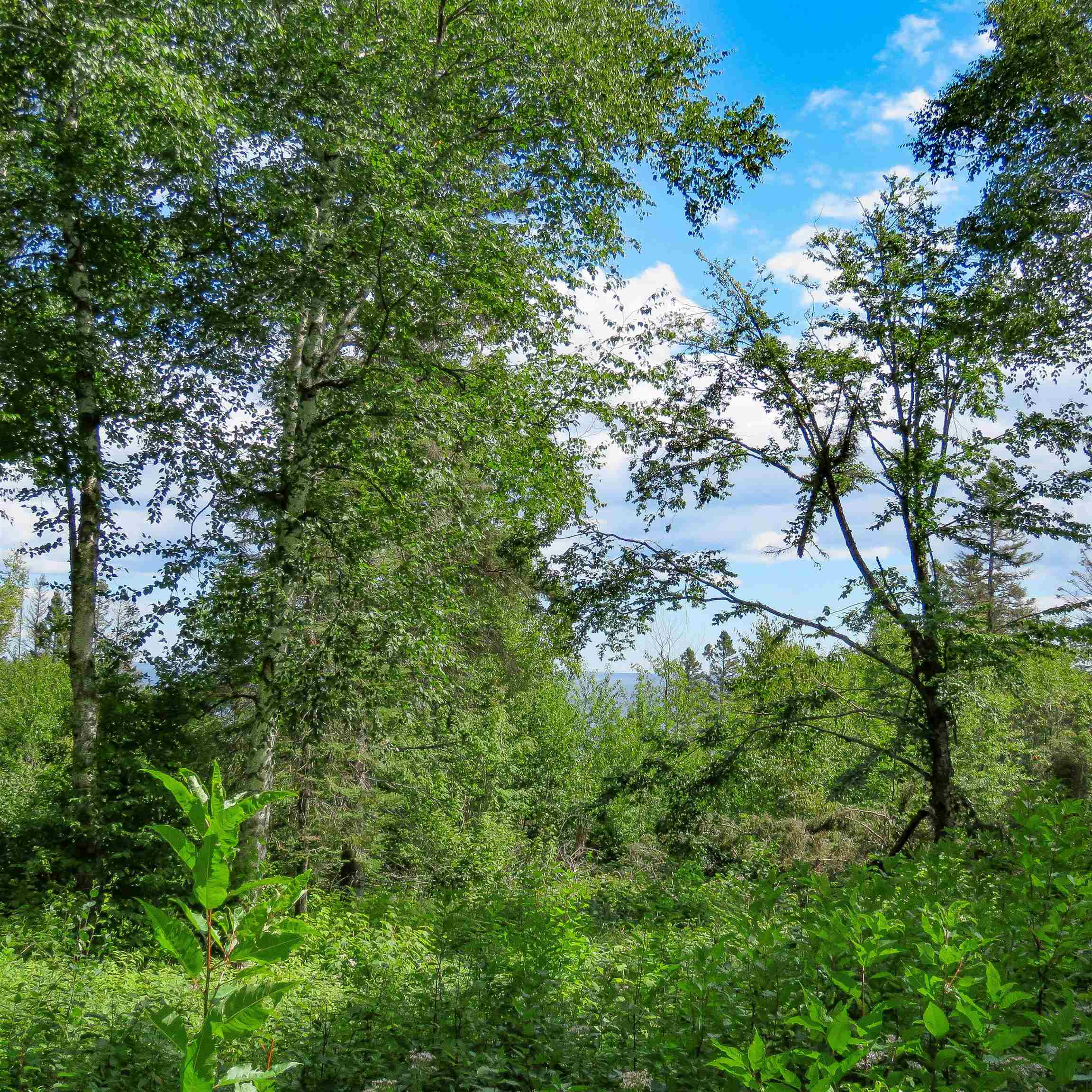 Xxx Hoaglund Drive Tofte, MN 55615 - Photo 34 of 58