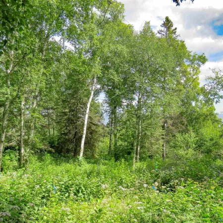 $119,000 | Xxx Hoaglund Drive, Tofte, MN 55615