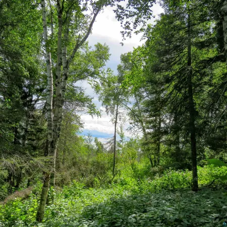 $119,000 | Xxx Hoaglund Drive, Tofte, MN 55615