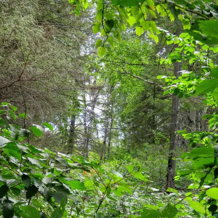 $119,000 | Xxx Hoaglund Drive, Tofte, MN 55615