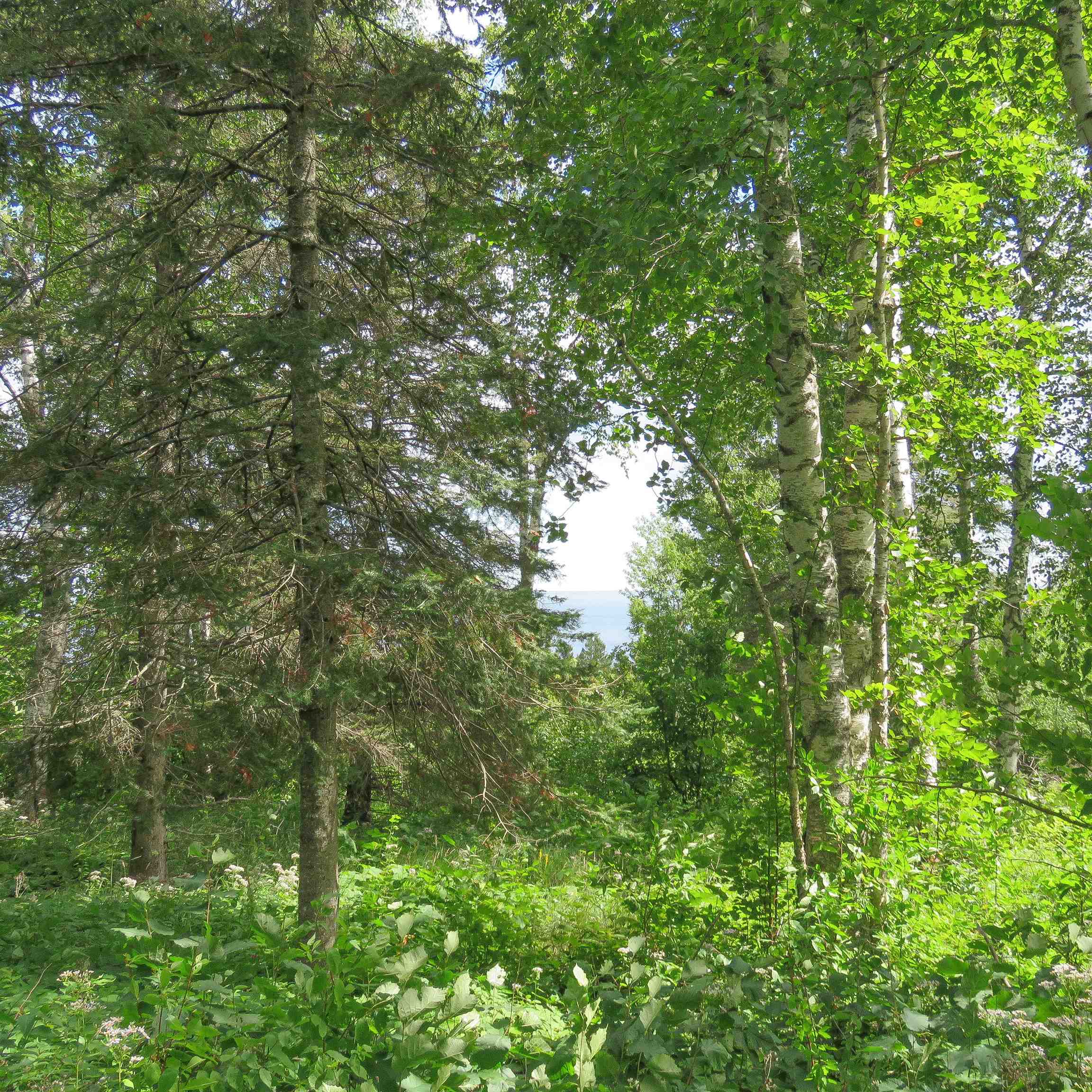 Xxx Hoaglund Drive Tofte, MN 55615 - Photo 39 of 58