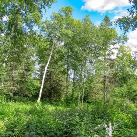 $119,000 | Xxx Hoaglund Drive, Tofte, MN 55615