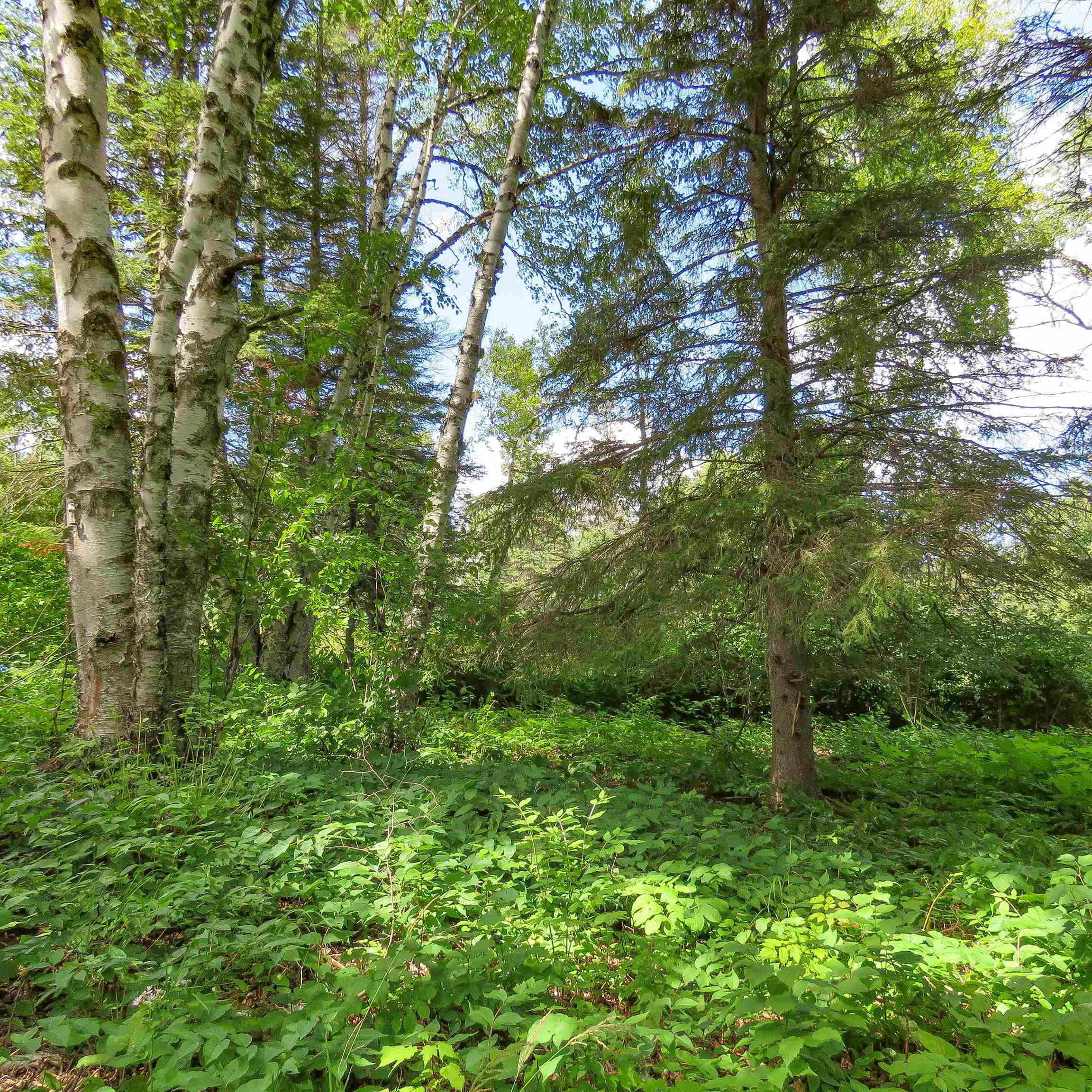 Xxx Hoaglund Drive Tofte, MN 55615 - Photo 43 of 58