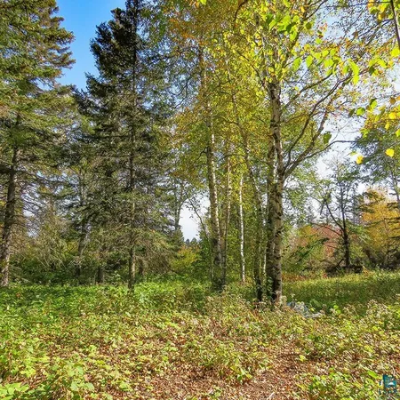 $119,000 | Xxx Hoaglund Drive, Tofte, MN 55615