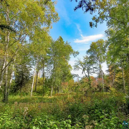 $119,000 | Xxx Hoaglund Drive, Tofte, MN 55615