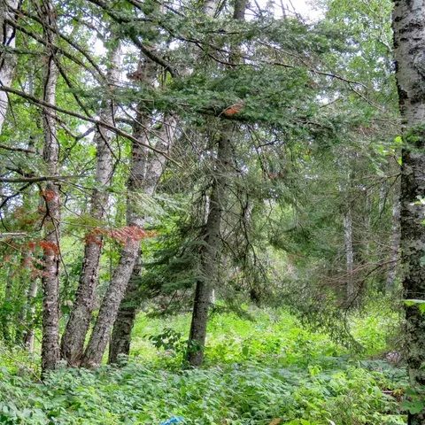 $129,000 | Xxx Hoaglund Drive, Tofte, MN 55615