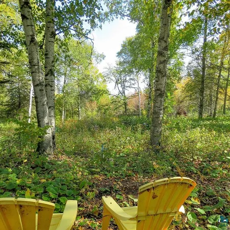 $119,000 | Xxx Hoaglund Drive, Tofte, MN 55615