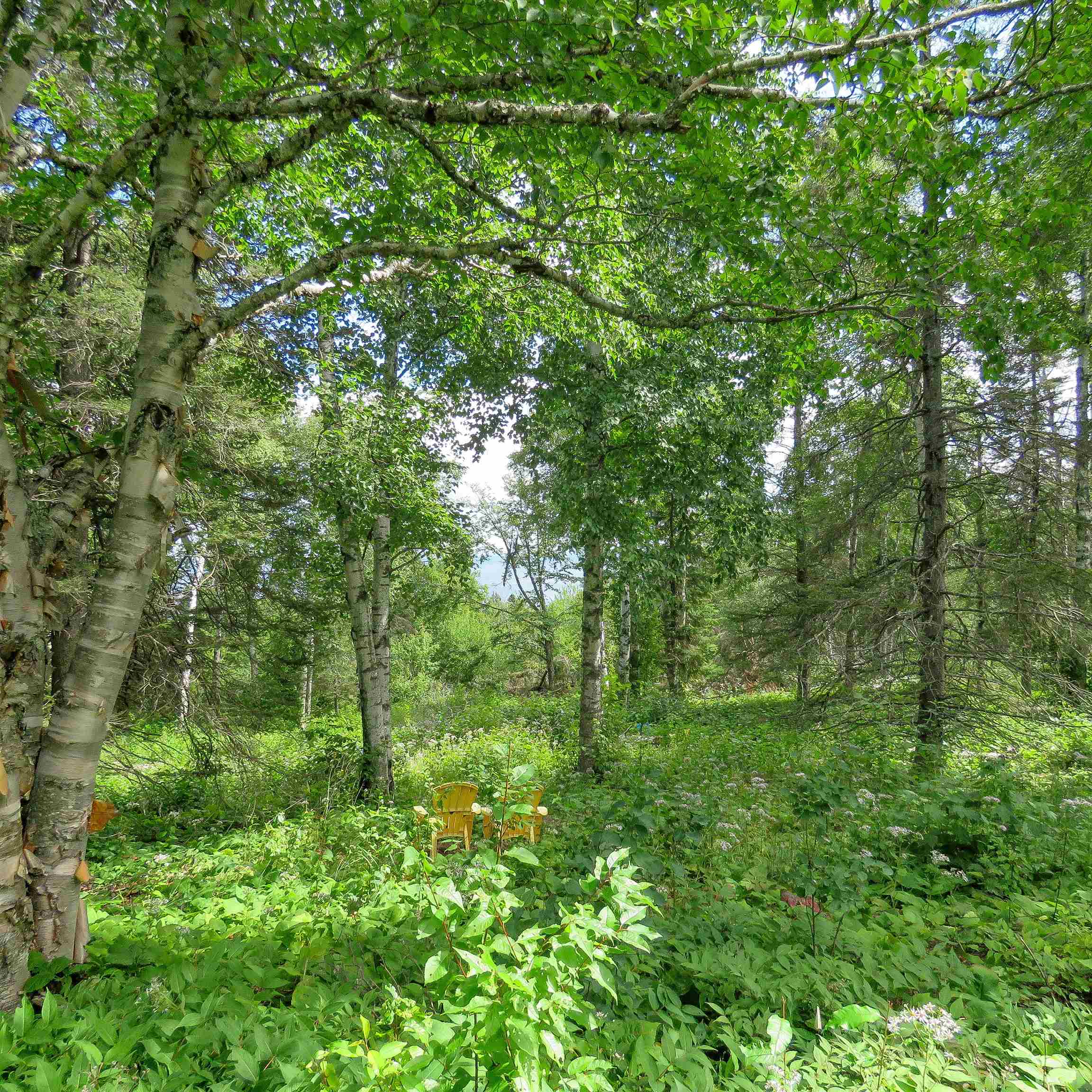 Xxx Hoaglund Drive Tofte, MN 55615 - Photo 47 of 58