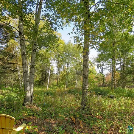 $119,000 | Xxx Hoaglund Drive, Tofte, MN 55615