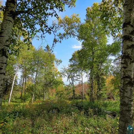 $119,000 | Xxx Hoaglund Drive, Tofte, MN 55615