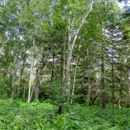 $119,000 | Xxx Hoaglund Drive, Tofte, MN 55615