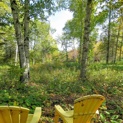 $129,000 | Xxx Hoaglund Drive, Tofte, MN 55615