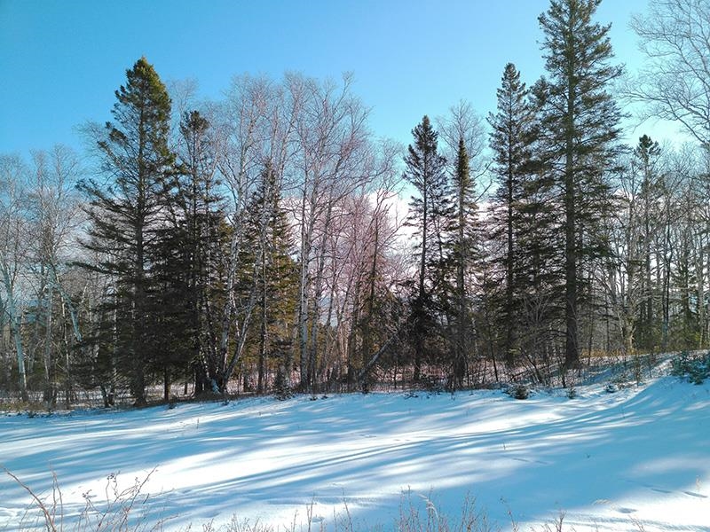 Xxx Hoaglund Drive Tofte, MN 55615 - Photo 5 of 58