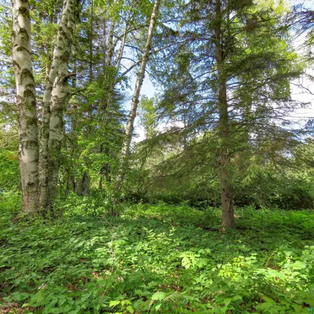 $119,000 | Xxx Hoaglund Drive, Tofte, MN 55615