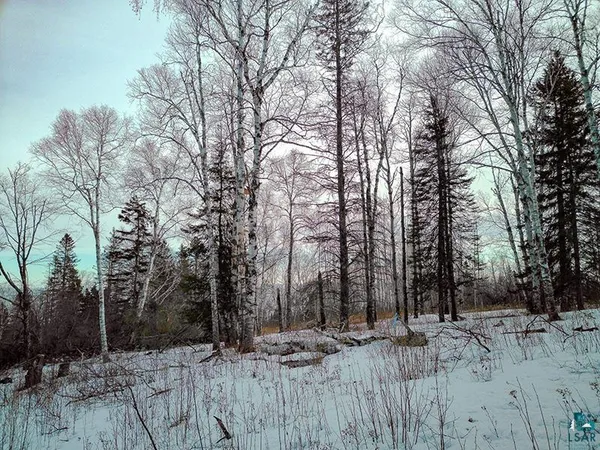 $119,000 | Xxx Hoaglund Drive, Tofte, MN 55615