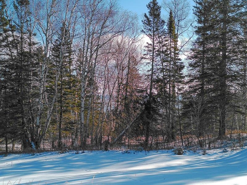 Xxx Hoaglund Drive Tofte, MN 55615 - Photo 6 of 58