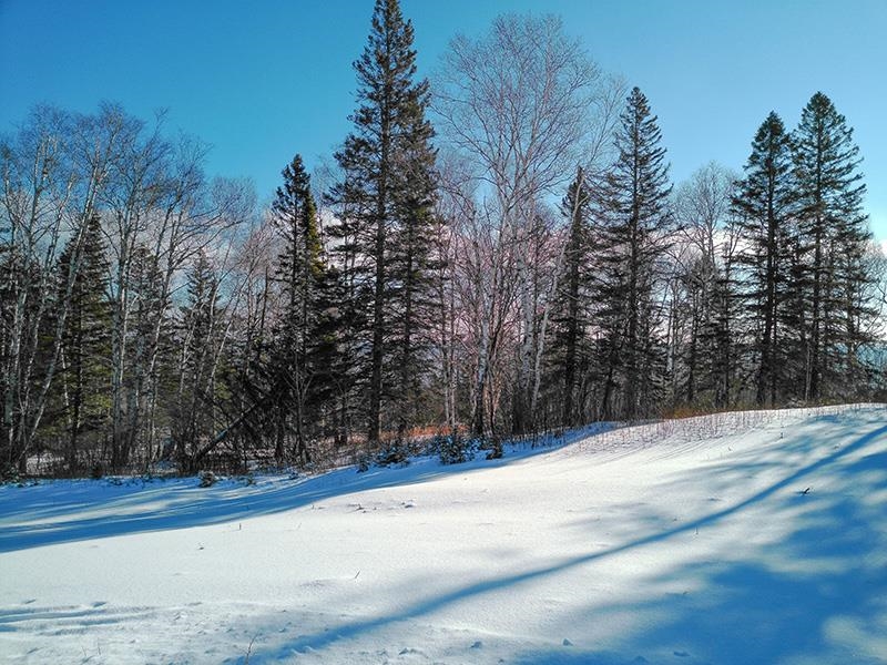 Xxx Hoaglund Drive Tofte, MN 55615 - Photo 7 of 58