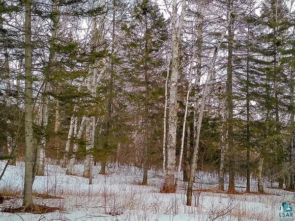 $119,000 | Xxx Hoaglund Drive, Tofte, MN 55615