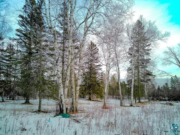 $119,000 | Xxx Hoaglund Drive, Tofte, MN 55615