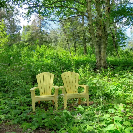 $119,000 | Xxx Hoaglund Drive, Tofte, MN 55615