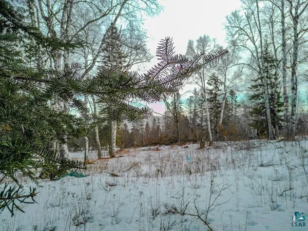 $119,000 | Xxx Hoaglund Drive, Tofte, MN 55615