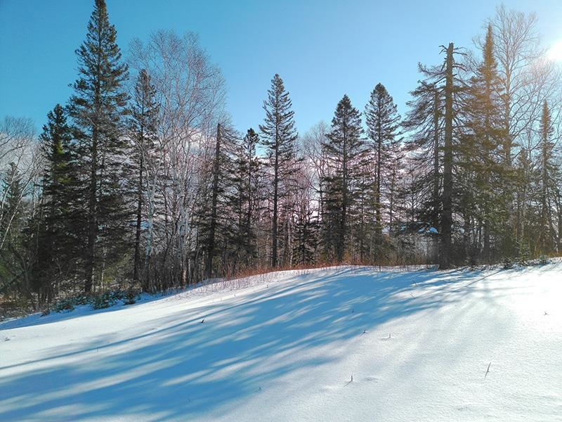 Xxx Hoaglund Drive Tofte, MN 55615 - Photo 9 of 58