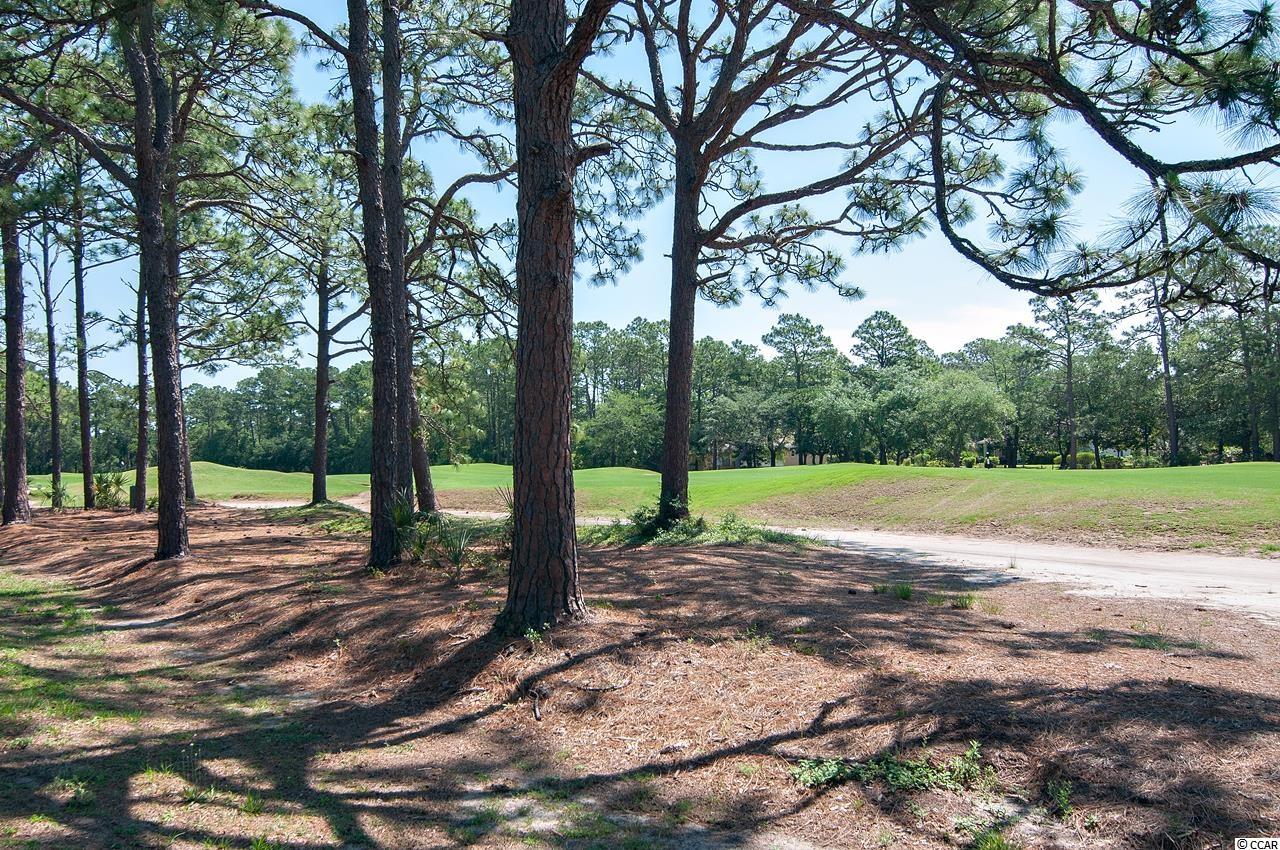 269 Kings River Road Pawleys Island, SC 29585 - Photo 24 of 32 Gallery Image 24