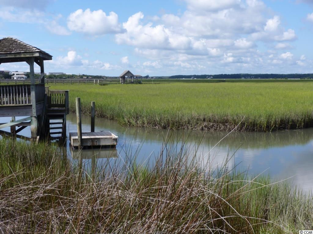 269 Kings River Road Pawleys Island, SC 29585 - Photo 30 of 32 Gallery Image 30