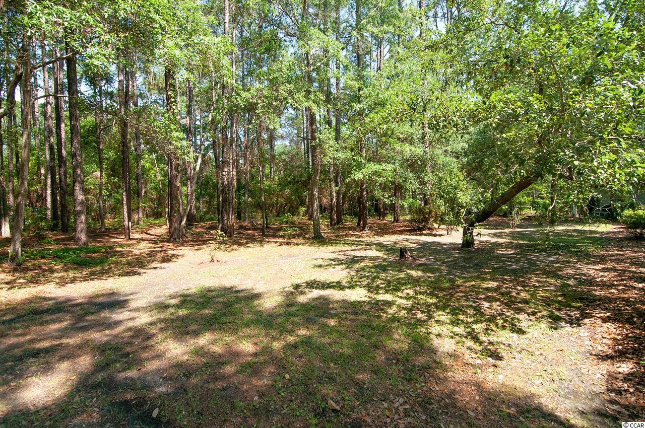 269 Kings River Road Pawleys Island, SC 29585 - Photo 4 of 32 Gallery Image 4