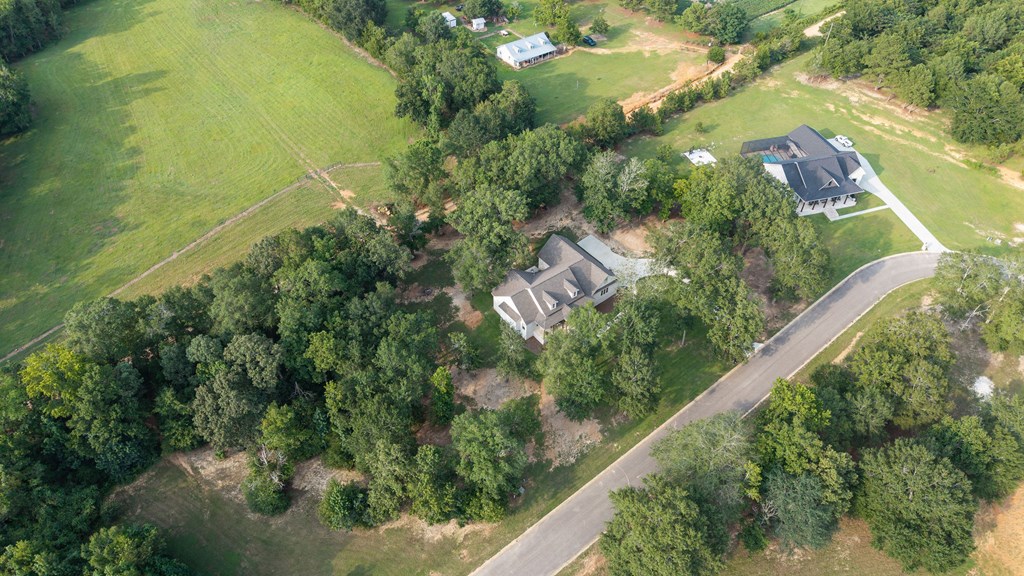 671 Ridge Drive Headland, AL 36345 - Photo 53 of 54