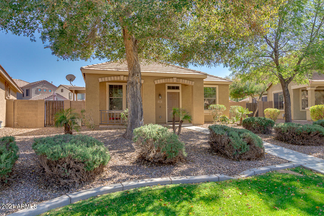 3763 East Larson Lane Gilbert, AZ 85295 - Photo 3 of 40 a front view of a house with garden
