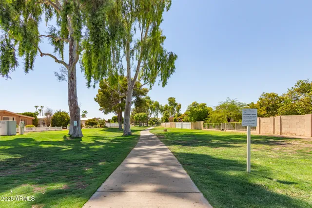 a view of a park with tree s