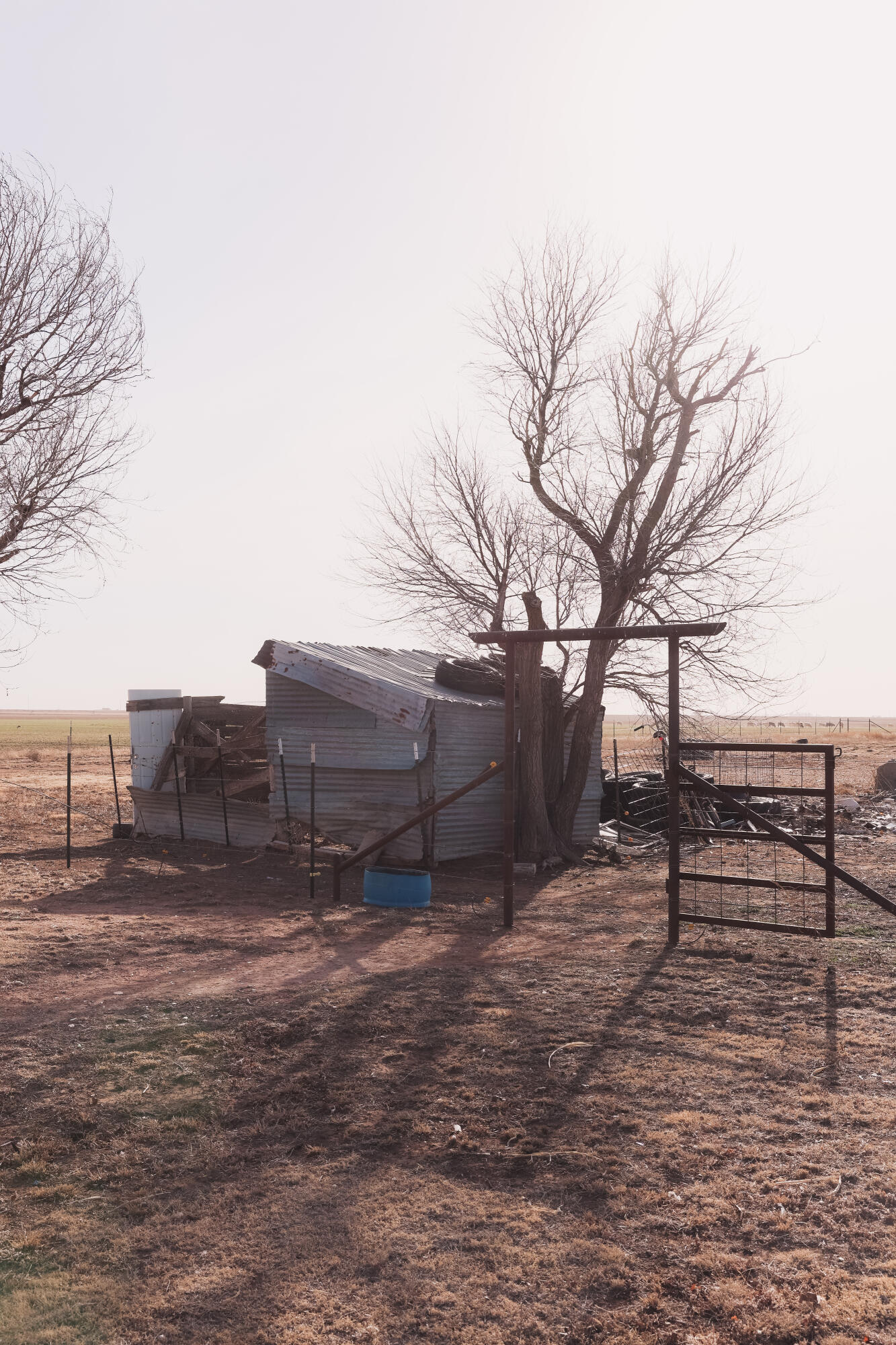 660 County Road K Plainview, TX 79072 - Photo 49 of 66 IMG_1122