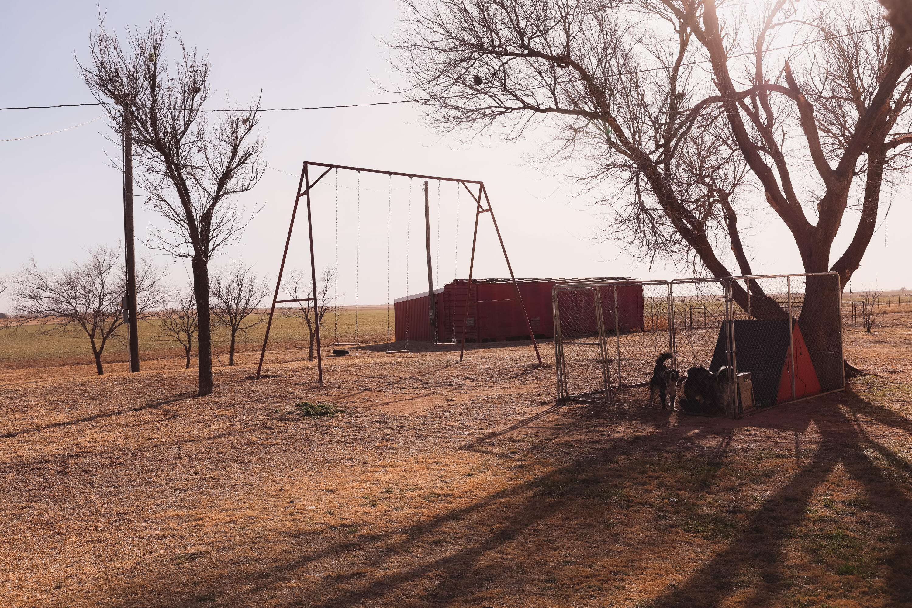 660 County Road K Plainview, TX 79072 - Photo 52 of 66 a blue bench sitting in middle of a yard