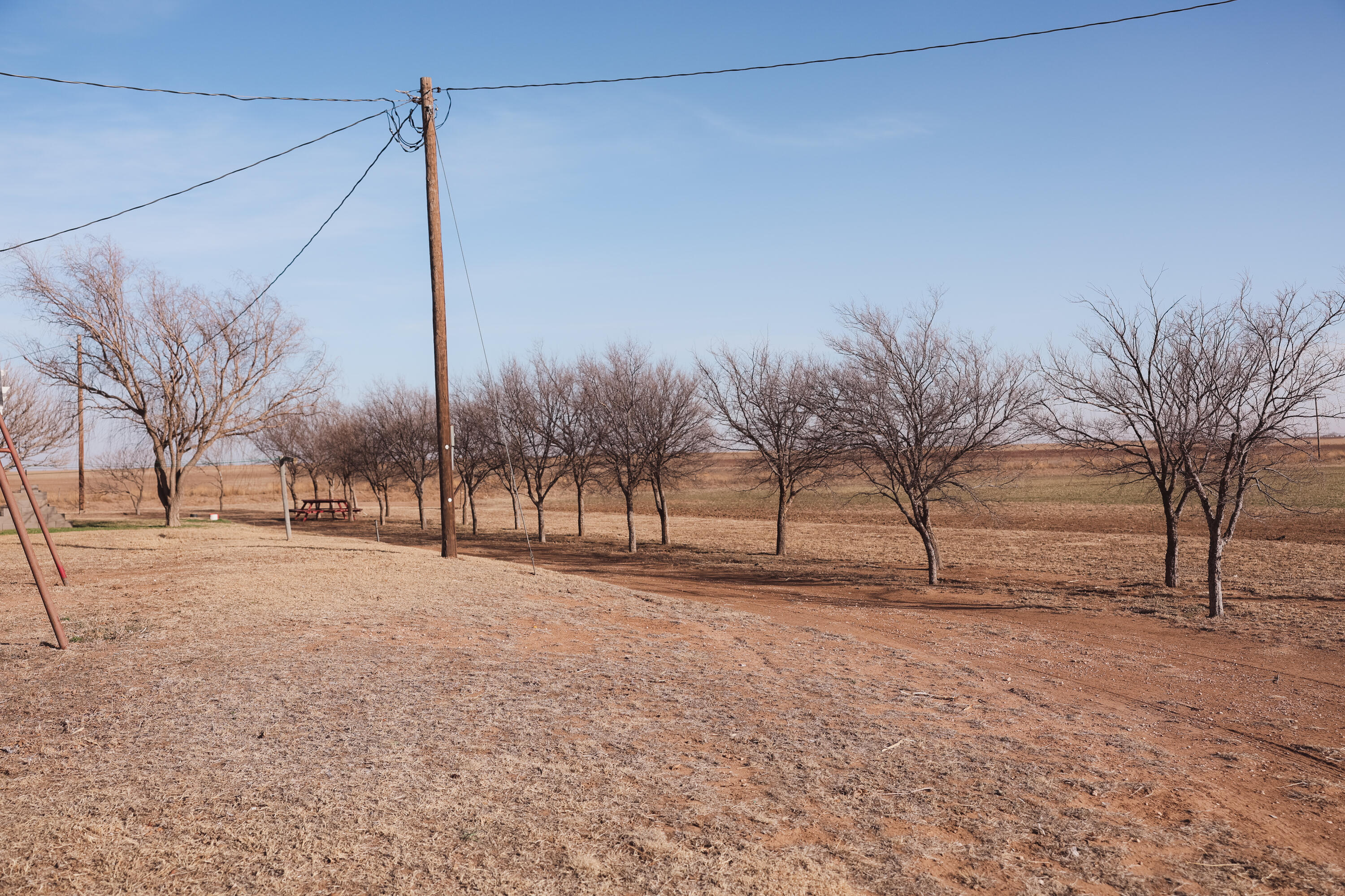 660 County Road K Plainview, TX 79072 - Photo 53 of 66 IMG_1118