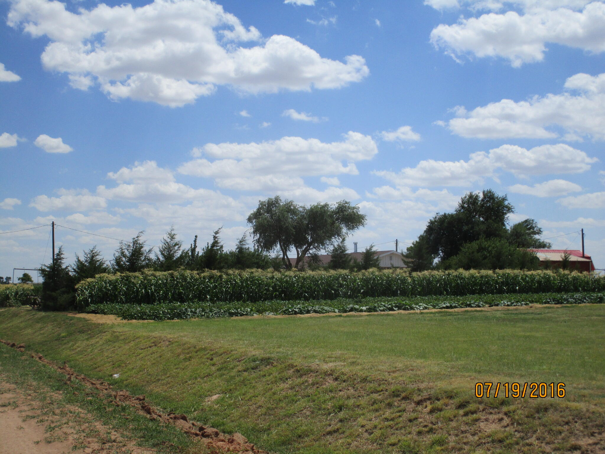 660 County Road K Plainview, TX 79072 - Photo 55 of 66 IMG_3903