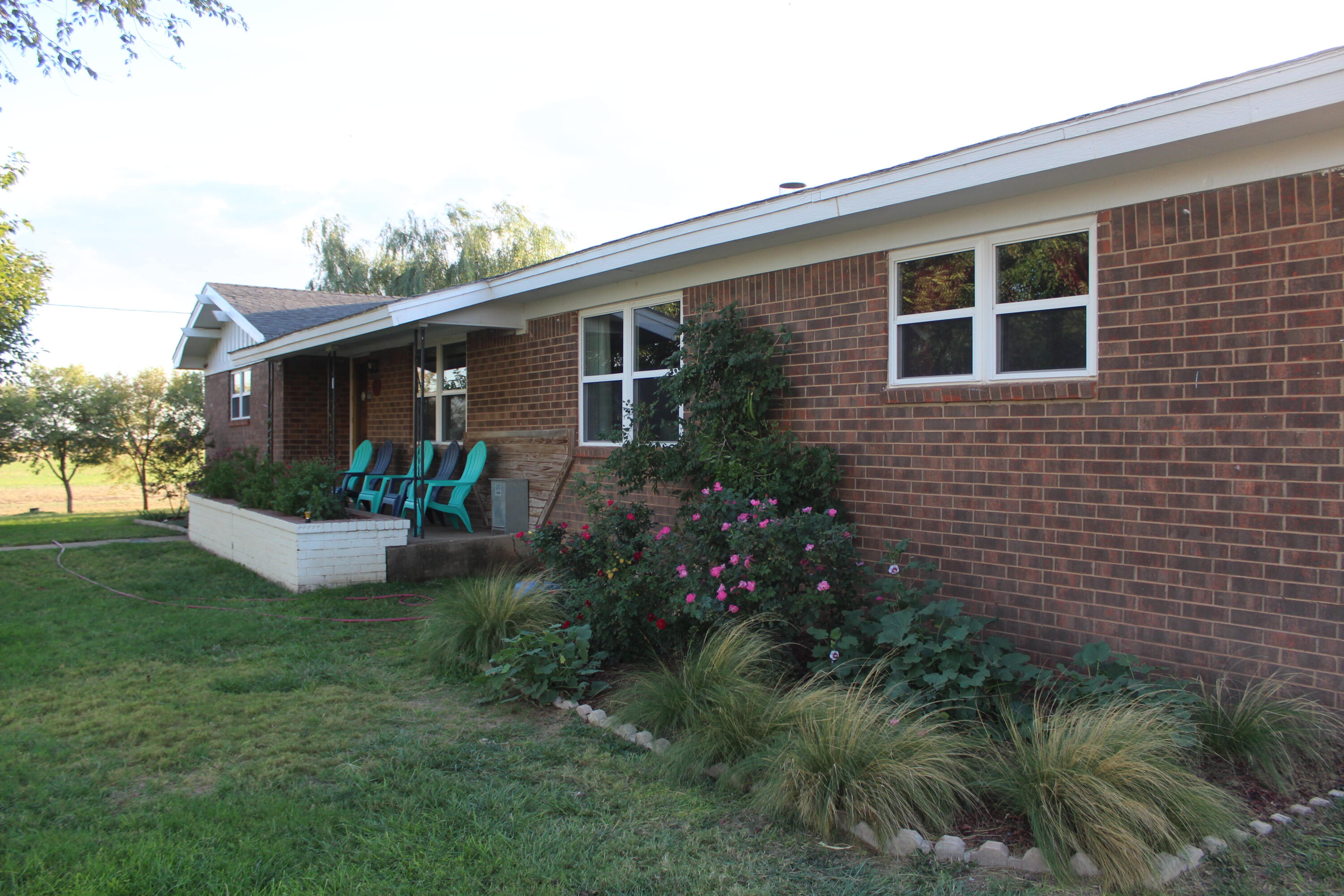 660 County Road K Plainview, TX 79072 - Photo 56 of 66 a view of a house with a yard and plants