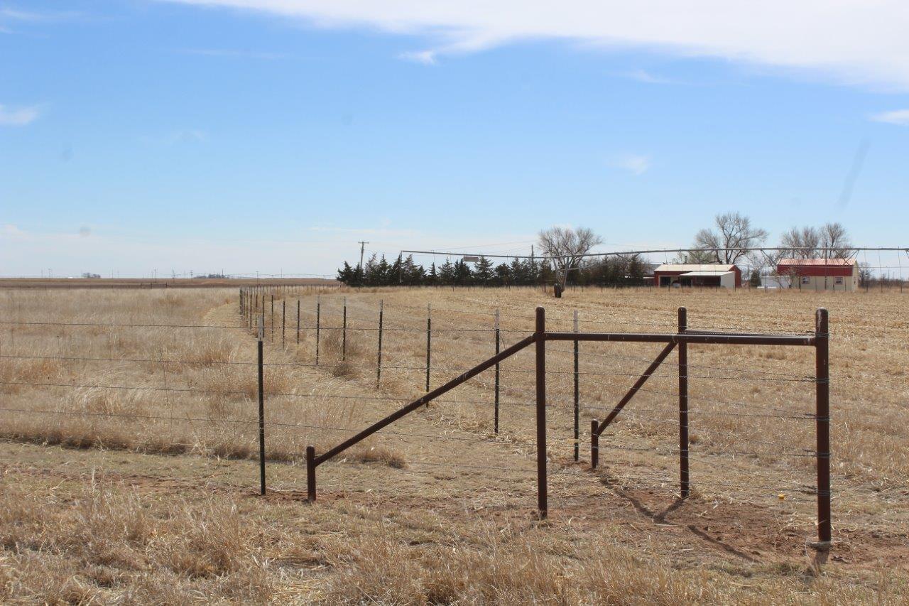 660 County Road K Plainview, TX 79072 - Photo 59 of 66 a view of a terrace with trees