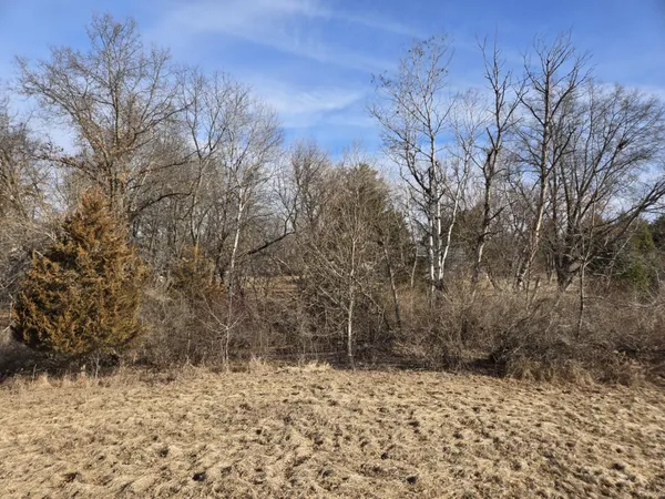 a yard with a tree