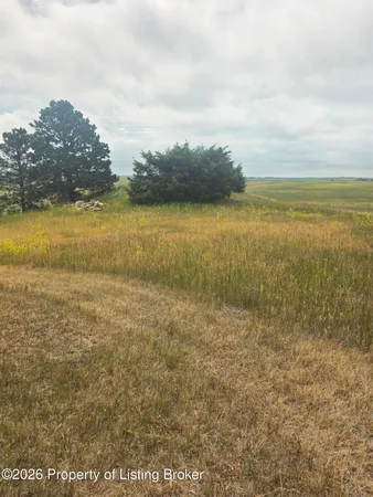 $60,000 | Undisclosed Address, Hettinger, ND 58639