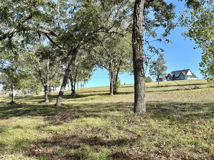 a view of a yard with trees